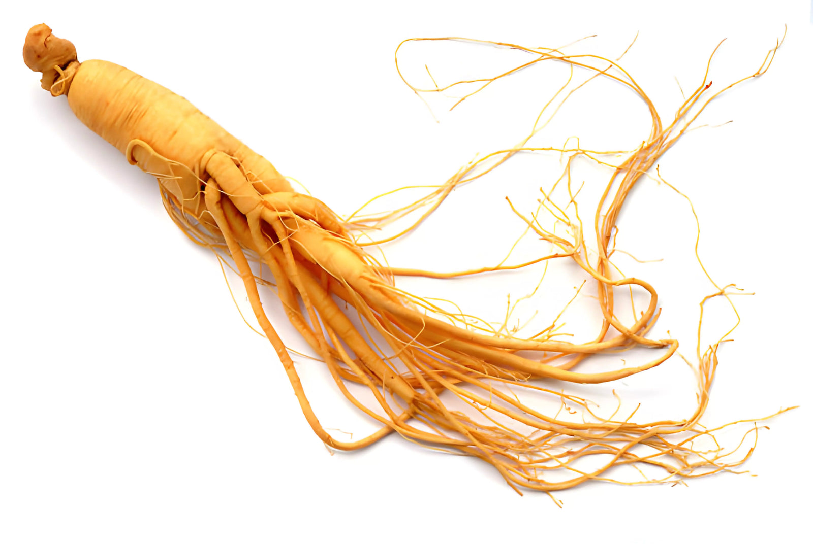 The Science Behind Ginseng and its Potential Health Benefits