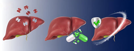 Can Supplements Help with Non-Alcoholic Fatty Liver?