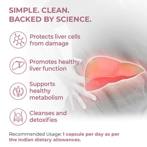 Liver supplement supporting fatty liver health, liver function, metabolism, and natural detox support